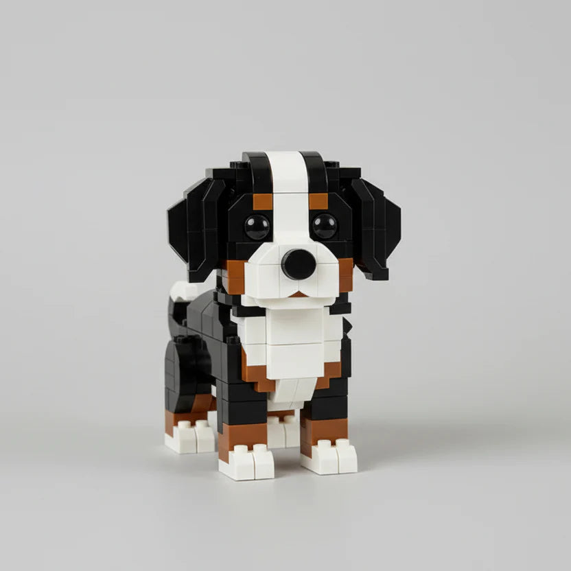 Berner Sennenhund | Bausteine