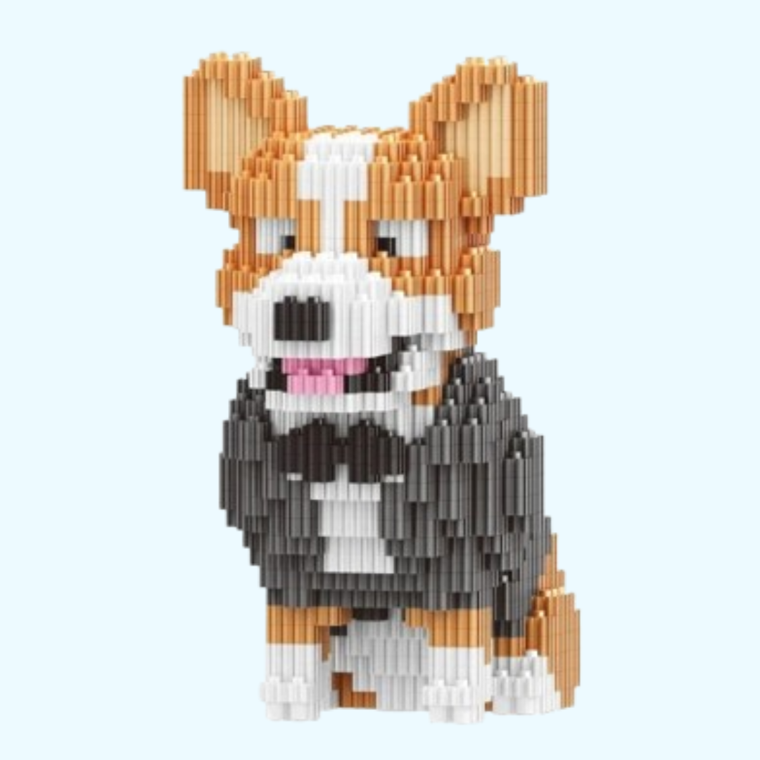 Welsh Corgi im Anzug | Bausteine